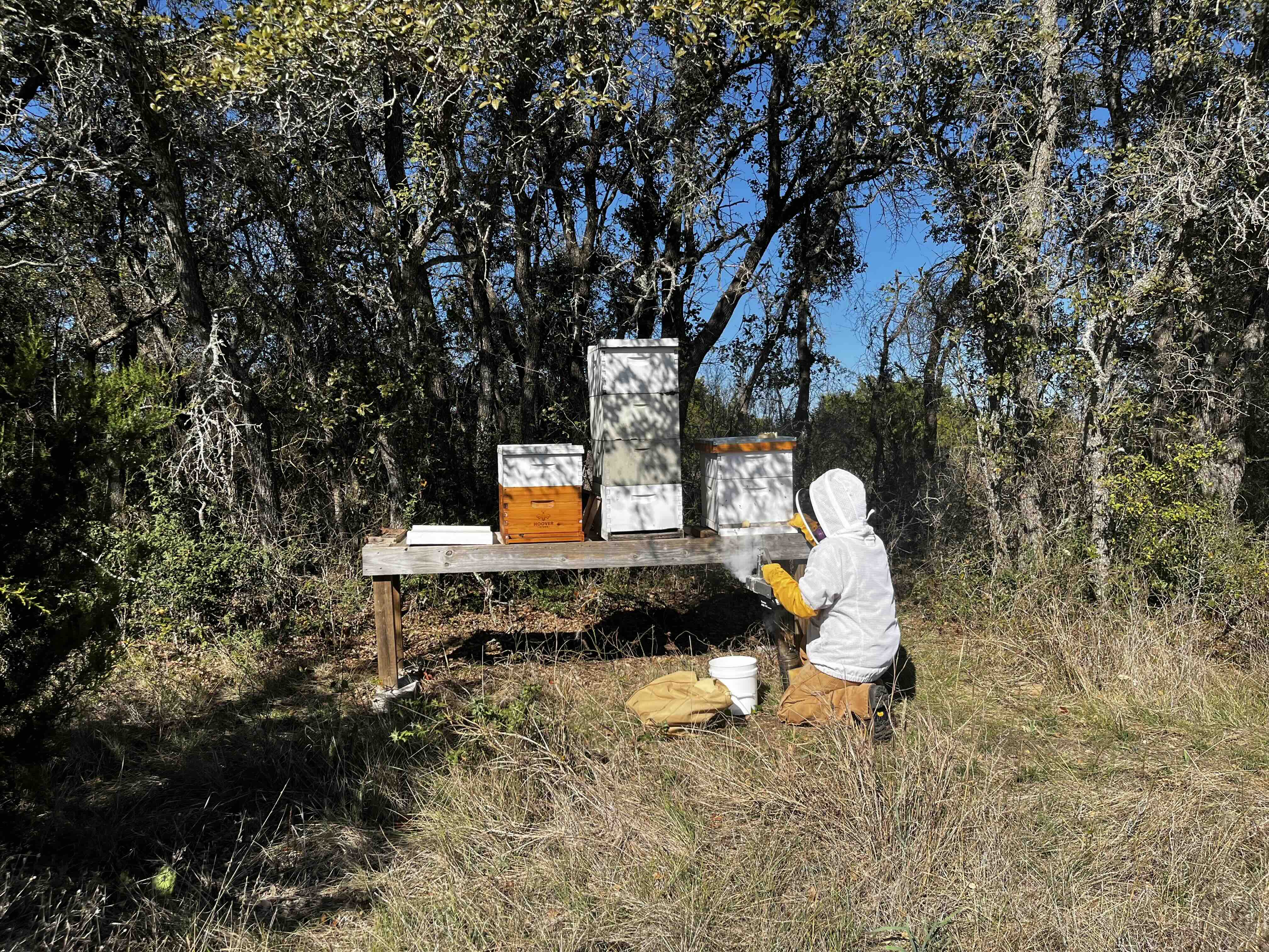Collin using oxalic acid vapor for varroa mites