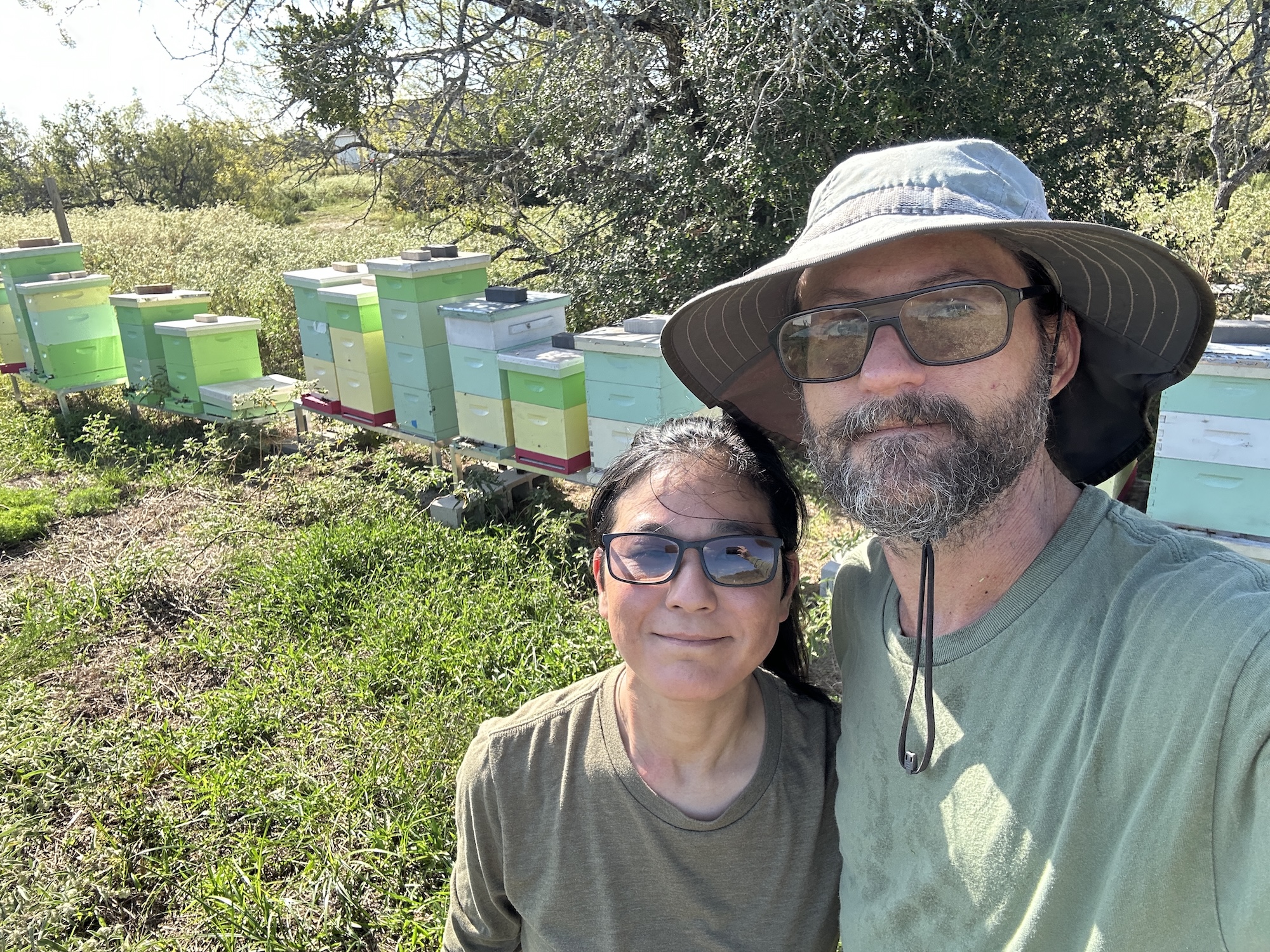 Working some honey bee hives